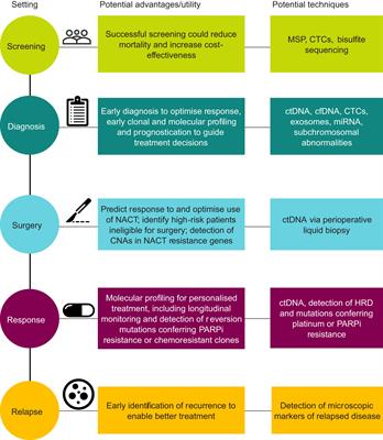 Liquid biopsy in ovarian cancer in China and the world: current status and future perspectives